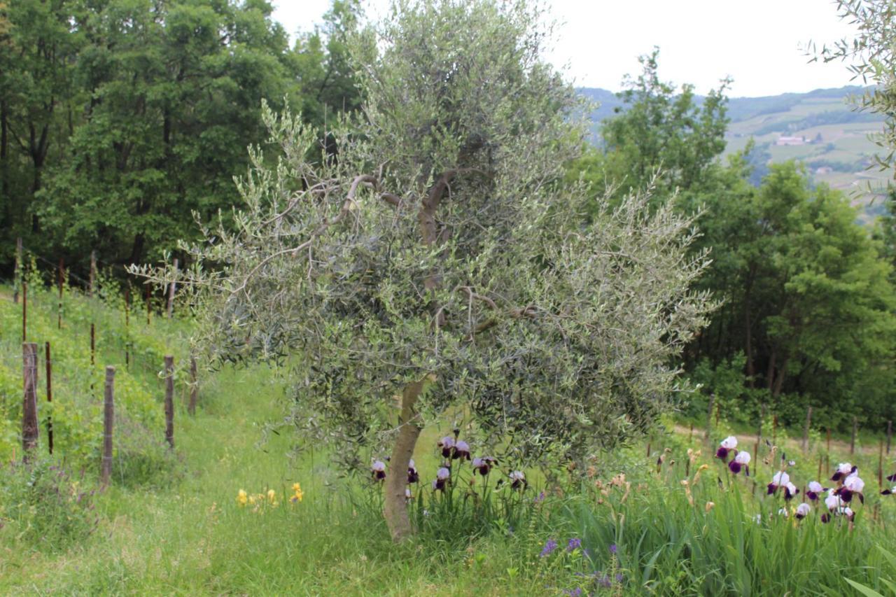 Agriturismo La Rovere Cossano Belbo 외부 사진